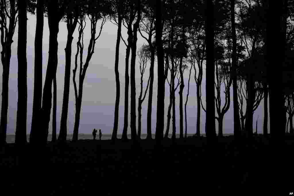 People take pictures at the 'Gespensterwald' (Ghost forest) at the Baltic Sea in Nienhagen, Germany.