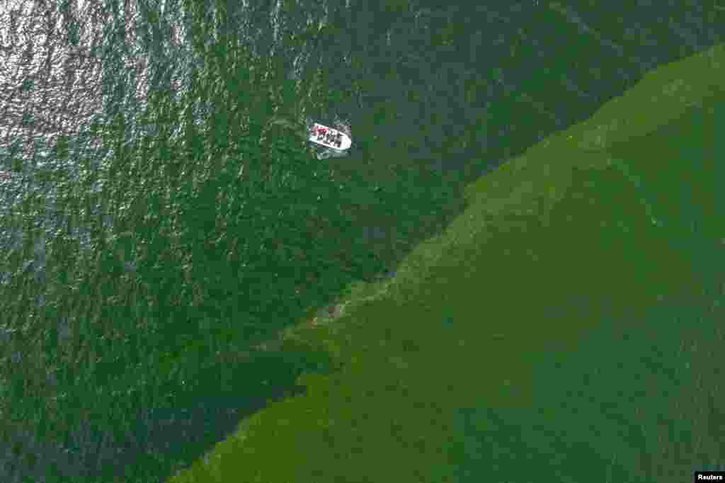 An aerial view of green sea water caused by plankton bloom known to kill marine life, at Chonburi's coastline, Thailand.