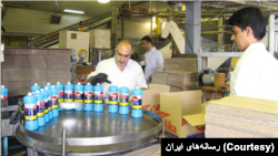 خط تولید مایع ظرف‌شویی ریکا در کارخانه داروگر