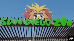 Arhiva - Ulaz u Zoo vrt u San Diegu, 11. juna 2020.