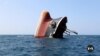 Lawmakers: Is US Doing Enough to Deter Iran, Houthi Attacks in Red Sea?