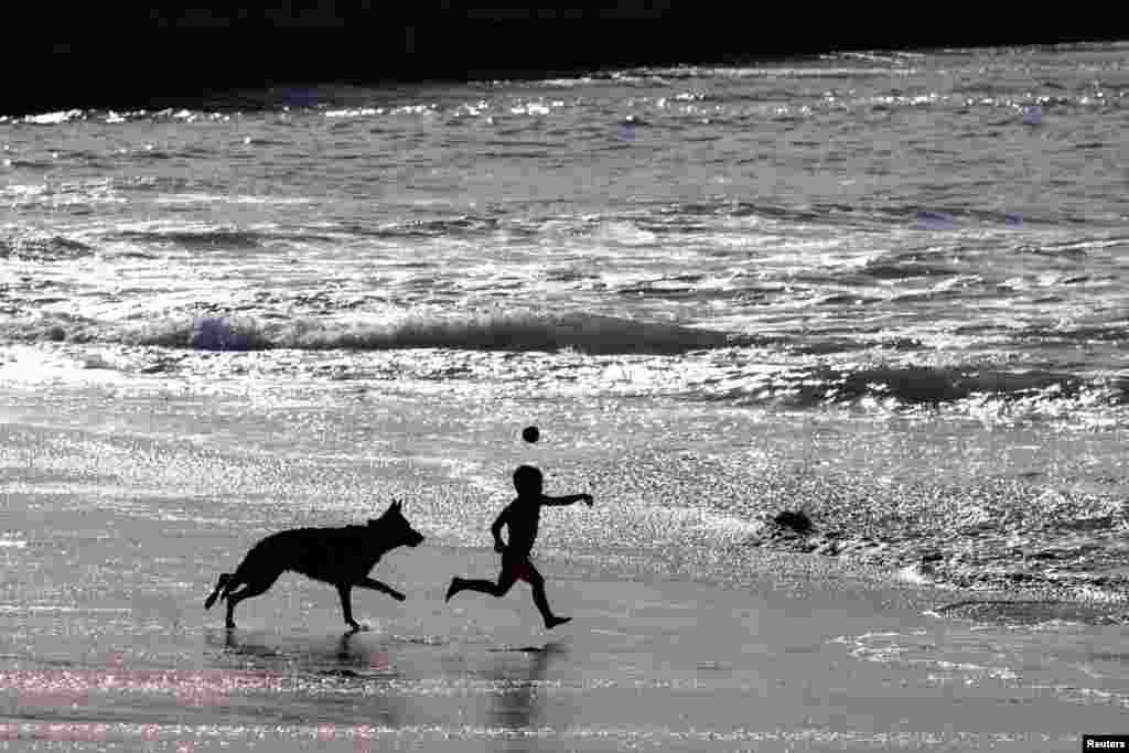 A young boy plays ball with his dog at a location known as Dog Beach in Del Mar, California, Nov. 26, 2023.