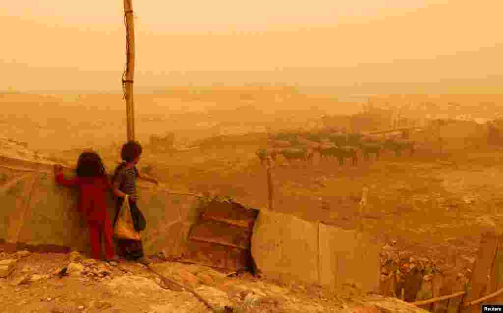 Children look at buffaloes during a sandstorm in eastern Baghdad's al-Futheliyah district, Iraq, May 23, 2022.