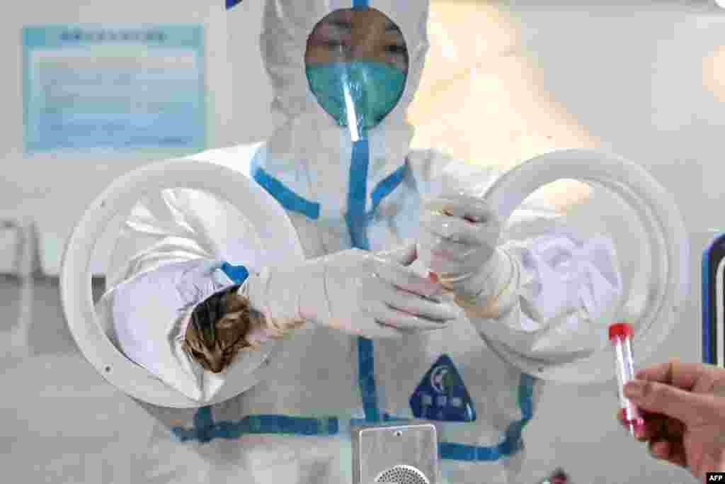 A cat is seen inside the hazmat-suit sleeve of a health worker taking swab samples from residents in the Jing'an district of Shanghai, China.
