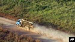 Chiếc xe chở gỗ hướng về bang Para, miền bắc Brazil. Một cựu bộ trưởng môi trường nói những thay đổi sẽ xóa nỗ lực từ nhiều thập niên chống việc hủy hoại rừng nhiệt đới