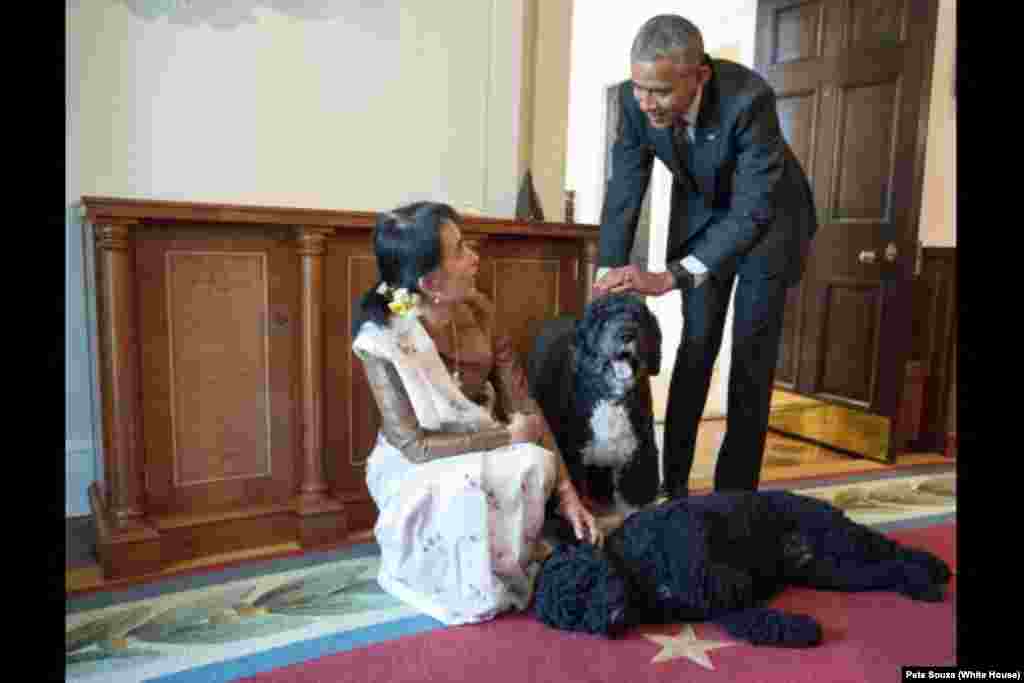 Aung San Suu Kyi, State Counsellor and Minister of Foreign Affairs of Myanmar, visits U.S. President Barack Obama's family pets Bo and Sunny in the Cabinet Room of the White House following their bilateral meeting, Sept. 14, 2016.