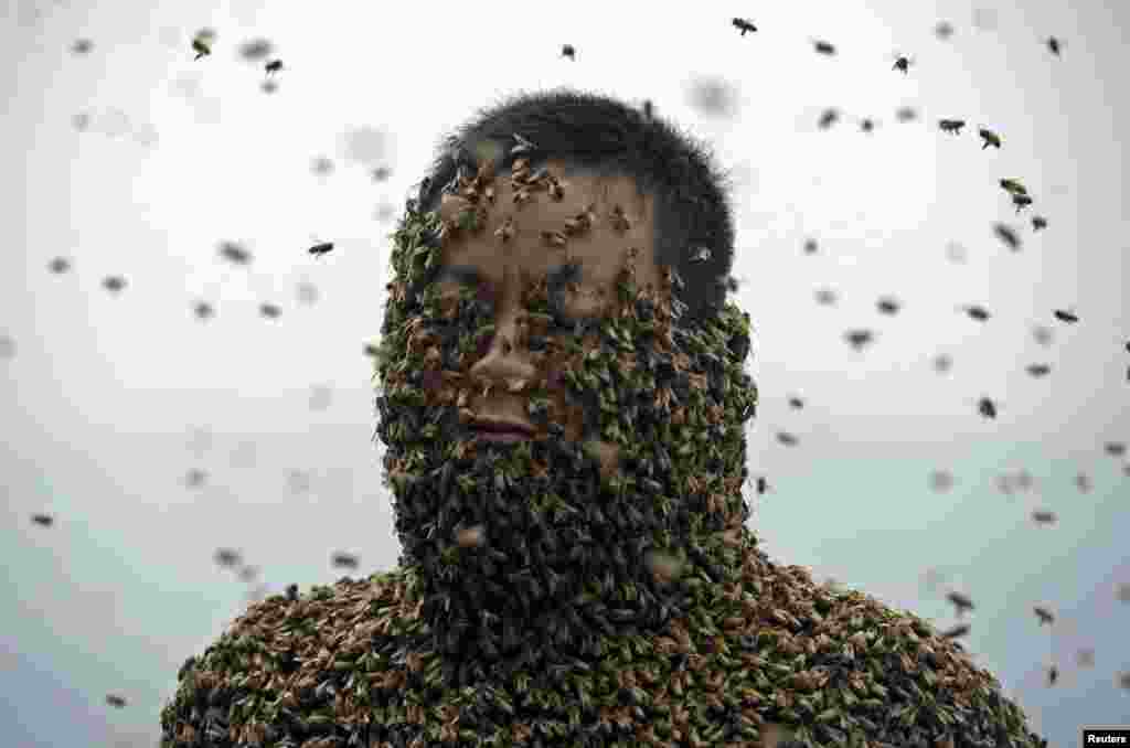 She Ping, a 34-year-old beekeeper, is seen during an attempt to cover his body with bees, in Chongqing municipality, China. He used queen bees to successfully attract more than 460,000 bees, weighing over 45 kg (99 lbs), within 40 minutes, local media reported.