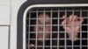 В Москве задержаны более четырёхсот человек, полиция применяет силу