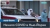 «Птичий грипп может стать похожим на COVID» 