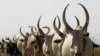Dozens Killed in South Sudan Attack