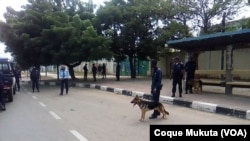 Brigada canina da polícia de Luanda