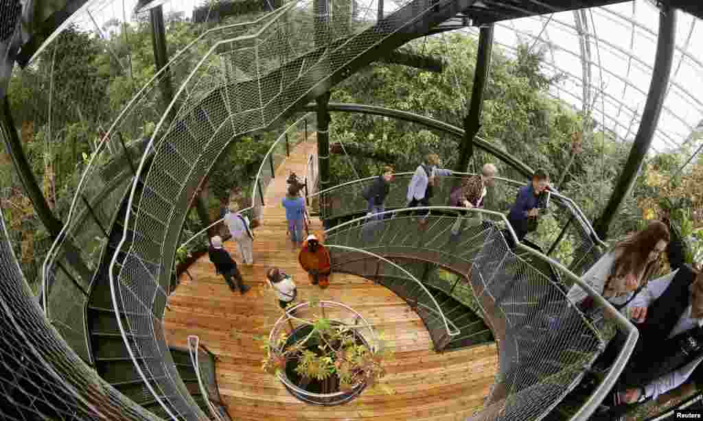 Para pengunjung menaiki tangga di sebuah aula 'Rainforest Masoala' yang baru saja dibuka di kebun binatang di kota Zurich, Swiss.