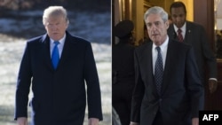 Президент Дональд Трамп и спецпрокурор Роберт Мюллер