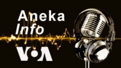 Botswana akan Pulangkan Gajah-gajah ke Angola Untuk Kurangi Kelebihan Populasi