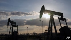 Нефтяные насосы-качалки компании Wintershall у г. Эмлиххайм, Германия. 2022.